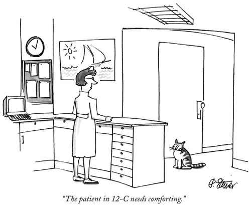 "The patient in 12-C needs comforting."