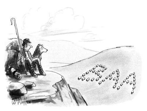 Shepherd looks down in valley to see sheep formed into the shape of the word "BAA".