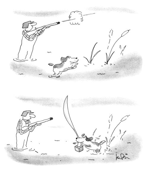 A retriever comes back to a hunter with Brancusi's 'Bird in Space'."