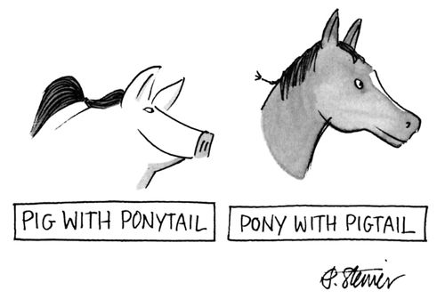 Pig with Ponytail, Pony with Pigtail