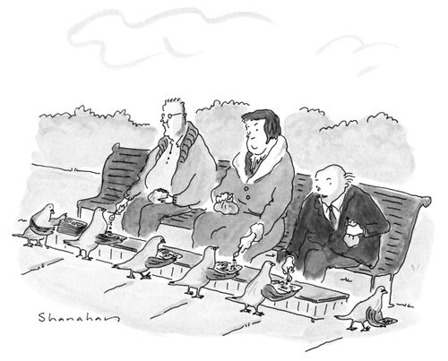 Three old people on a park bench are out feeding pigeons with lunch trays, as if they were in a soup line.