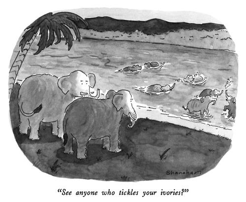 "See anyone who tickles your ivories?"