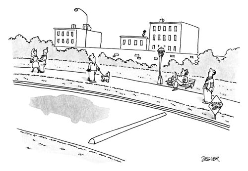 Speed Bump