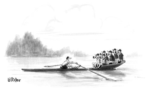 Too many coxes.