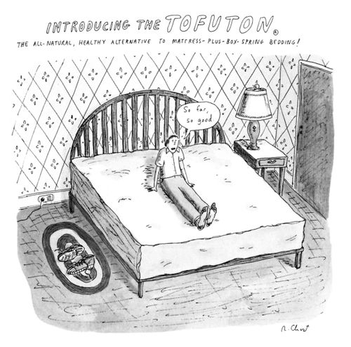 Introducing the Tofuton