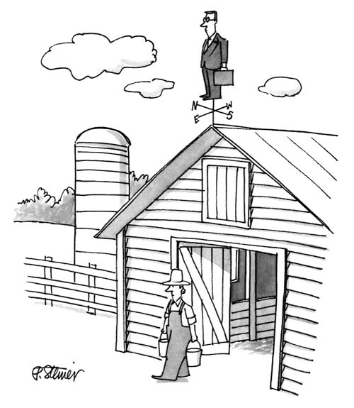 Businessman As A Weather Vane
