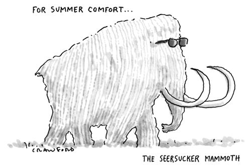 For Summer Comfort...The Seersucker Mammoth: