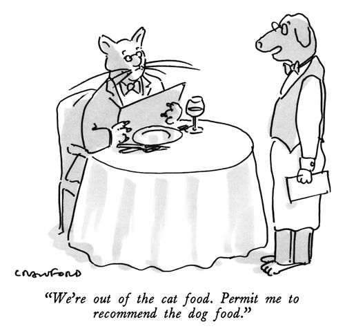 "We're out of the cat food. Permit me to recommend the dog food."