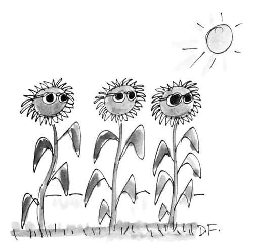 Sunflowers wearing sunglasses