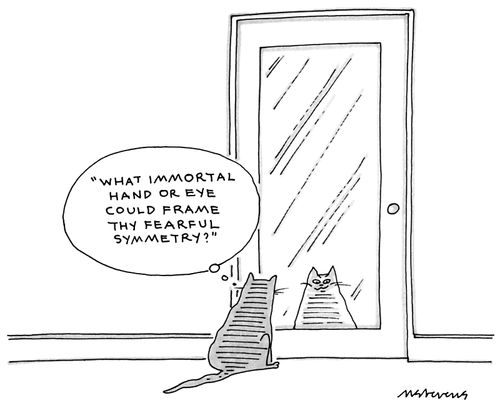 "What immortal hand or eye could frame thy fearful symmetry?"