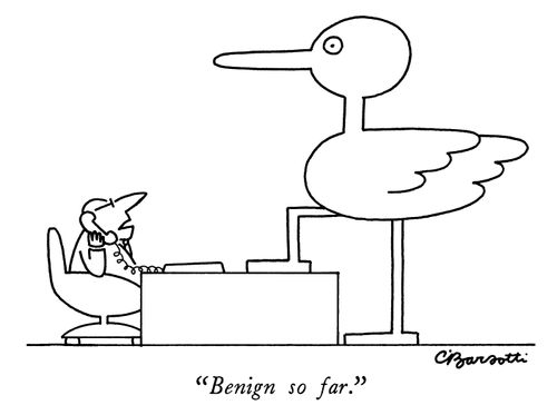 "Benign so far."