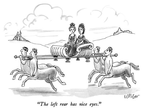 "The left rear has nice eyes."