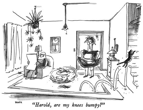 "Harold, are my knees bumpy?"