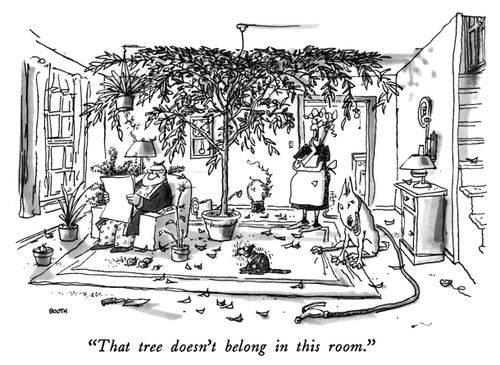 "That tree doesn't belong in this room."