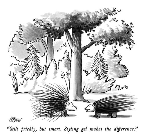 "Still prickly, but smart. Styling gel makes the difference."