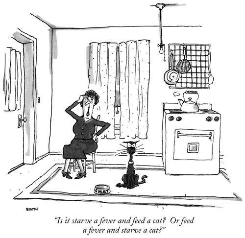 "Is it starve a fever and feed a cat? Or feed a fever and starve a cat?"