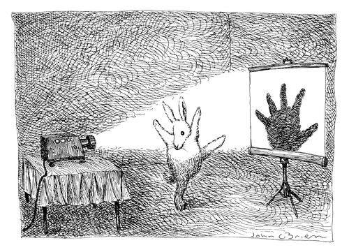 Rabbit Makes Shadow Puppet Of A Hand