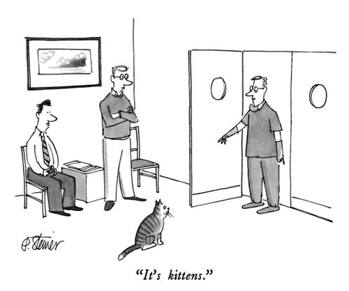 "It's kittens."