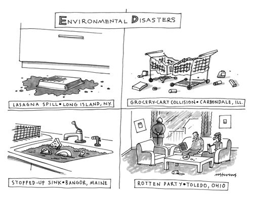 Envrionmental Disasters