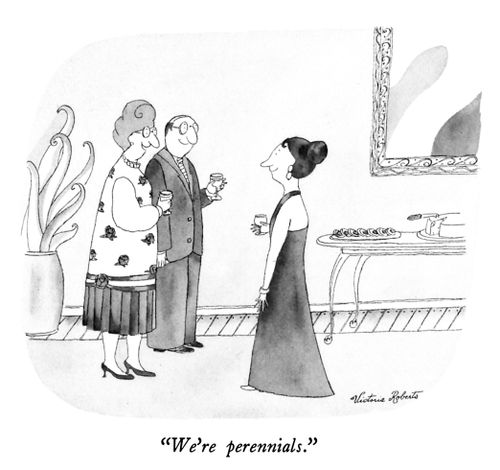 "We're perennials."