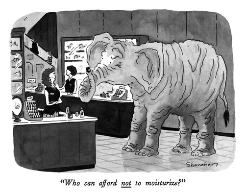 "Who can afford not to moisturize?"