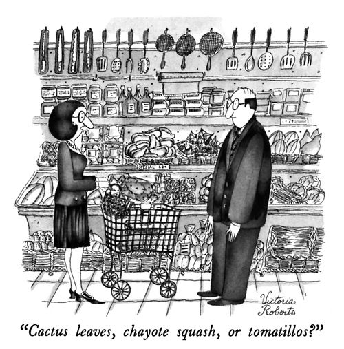 "Cactus leaves, chayote squash, or tomatillos?"