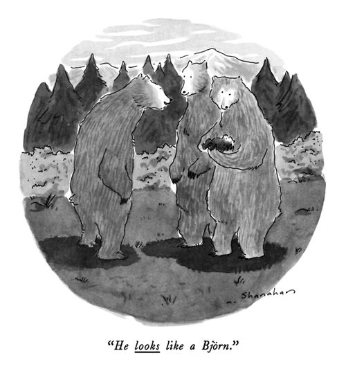 "He looks like a Björn."