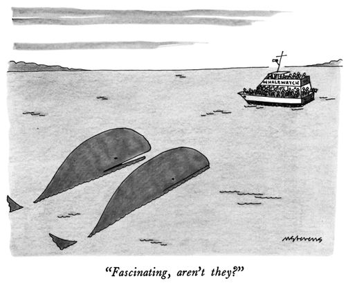 "Fascinating, aren't they?"