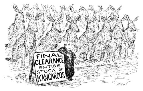 Man stands in front of rows of kangaroos next to a sign that reads "Final Clearance - Entire stock of kanagroos".