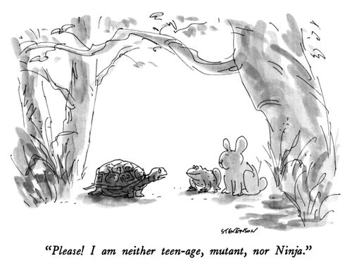 "Please!  I am neither teen-age, mutant, nor Ninja."
