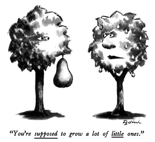 "You're supposed to grow a lot of little ones."