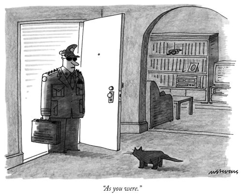 "As you were."