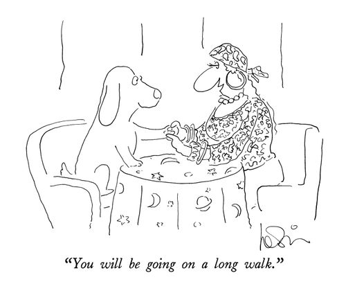 "You will be going on a long walk."