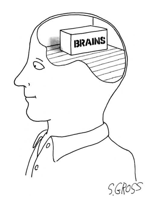 Brains