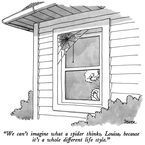 "We can't imagine what a spider thinks, Louisa, because it's a whole different life style."