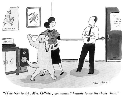"If he tries to dip, Mrs. Callister, you mustn't hesitate to use the choke chain."