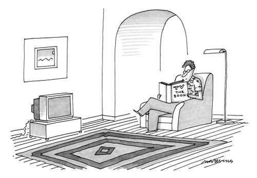 TV the Book