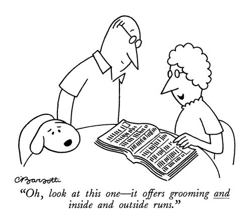 "Oh, look at this one—it offers grooming and inside and outside runs."