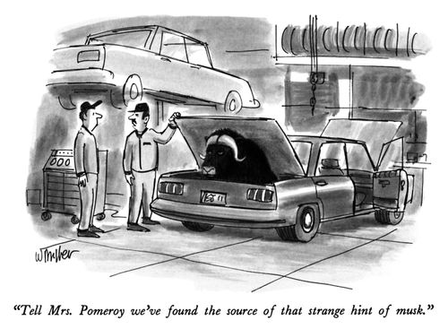 "Tell Mrs. Pomeroy we've found the source of that strange hint of musk."