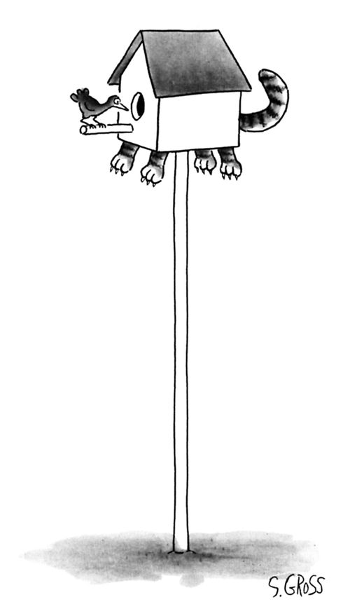A bird looks into a birdhouse from which the legs and tail of a cat are dangling.