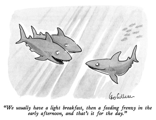 "We usually have a light breakfast, then a feeding frenzy in the early afternoon, and that's it for the day."