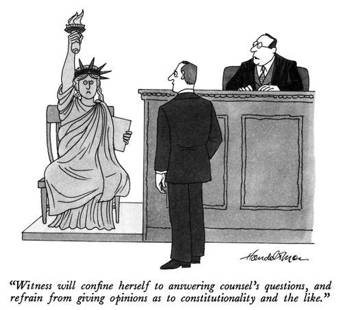 "Witness will confine herself to answering counsel's questions, and refrain from giving opinions as to constitutionality and the like."