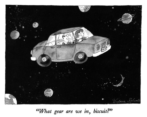 "What gear are we in, biscuit?"