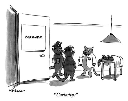 "Curiosity."