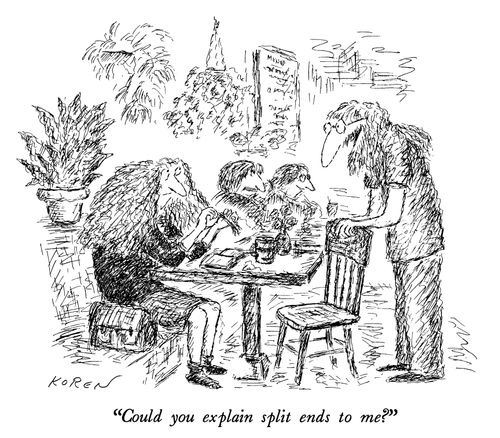 "Could you explain split ends to me?"