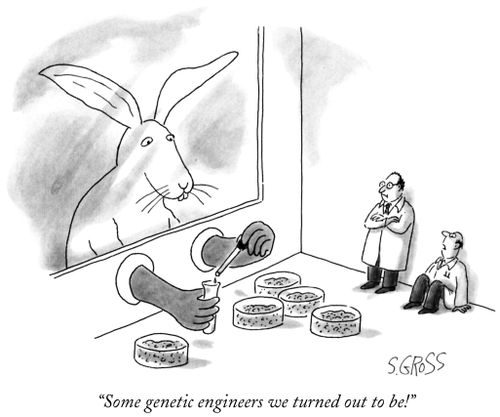 "Some genetic engineers we turned out to be!"