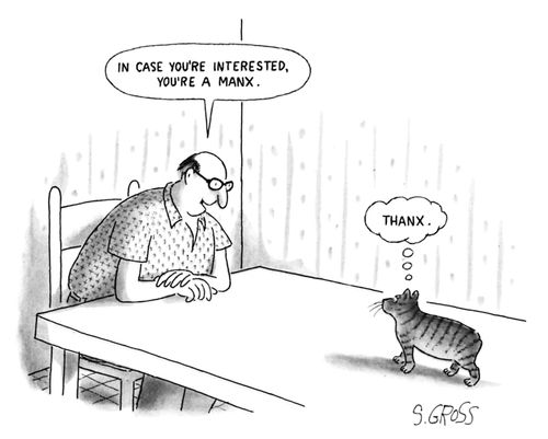 In case you're interested, you're a manx.
