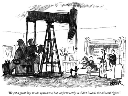 "We got a great buy on the apartment, but, unfortunately, it didn't include the mineral rights."