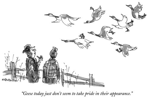 "Geese today just don't seem to take pride in their appearance."