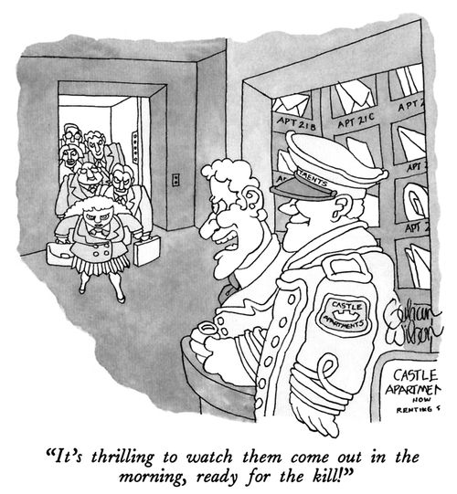 "It's thrilling to watch them come out in the morning, ready for the kill!"